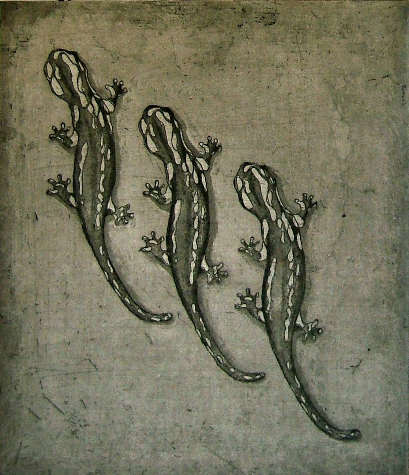 doorvoeld-bewegen-2012