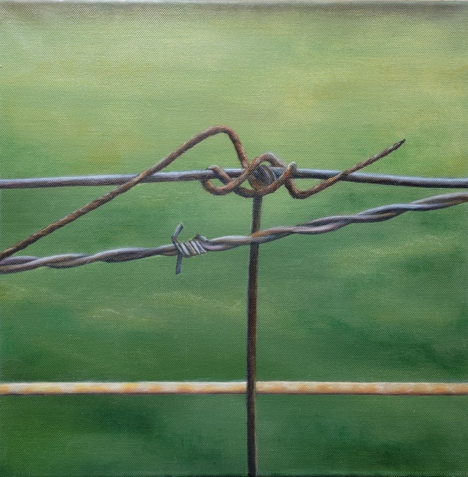 fences 2