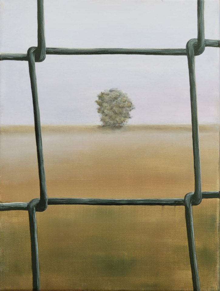 fences